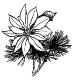 Pointsettia Stem (small)